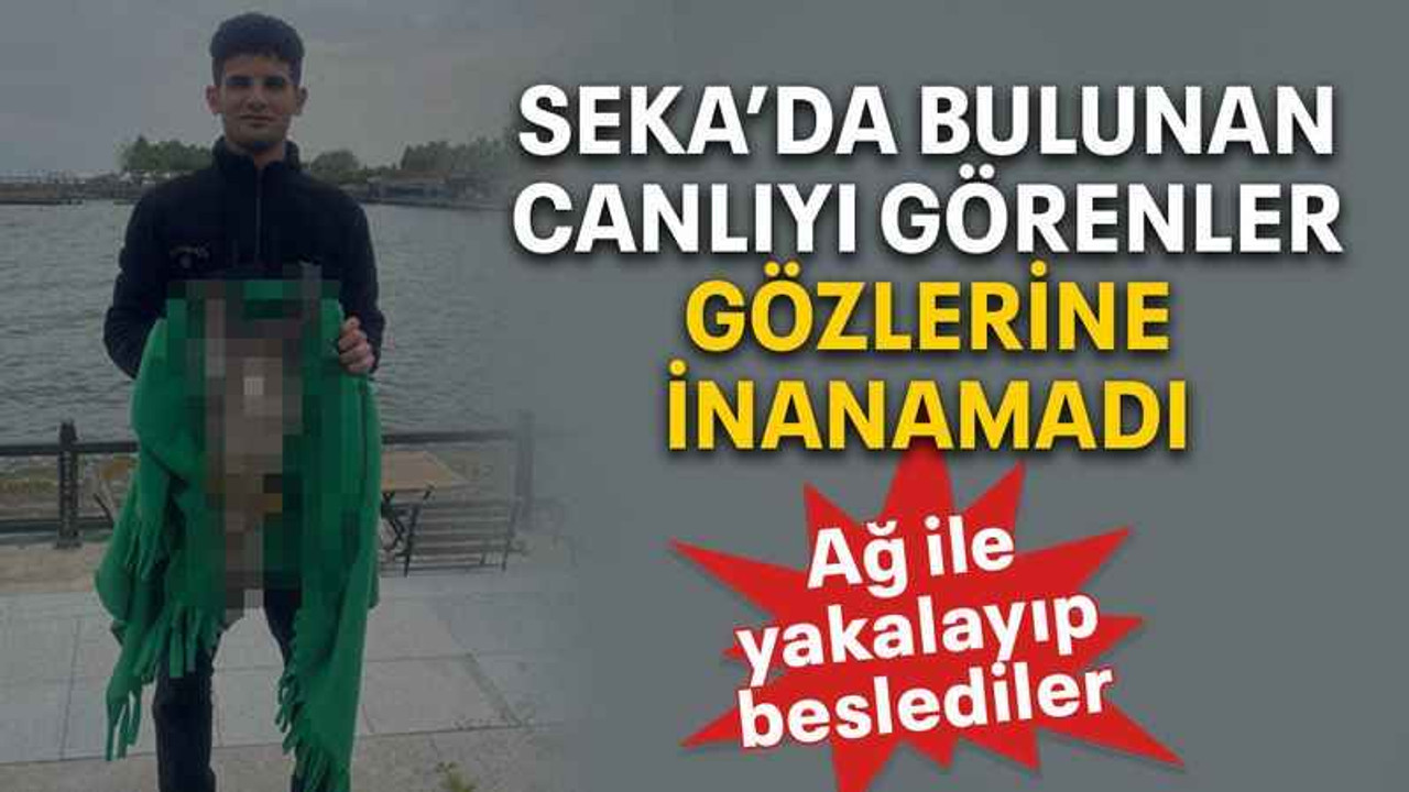 Seka’da bulunan canlıyı görenler gözlerine inanamadı